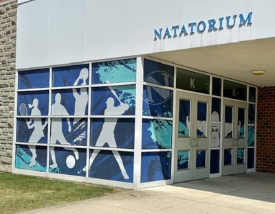 Window Graphics Photo